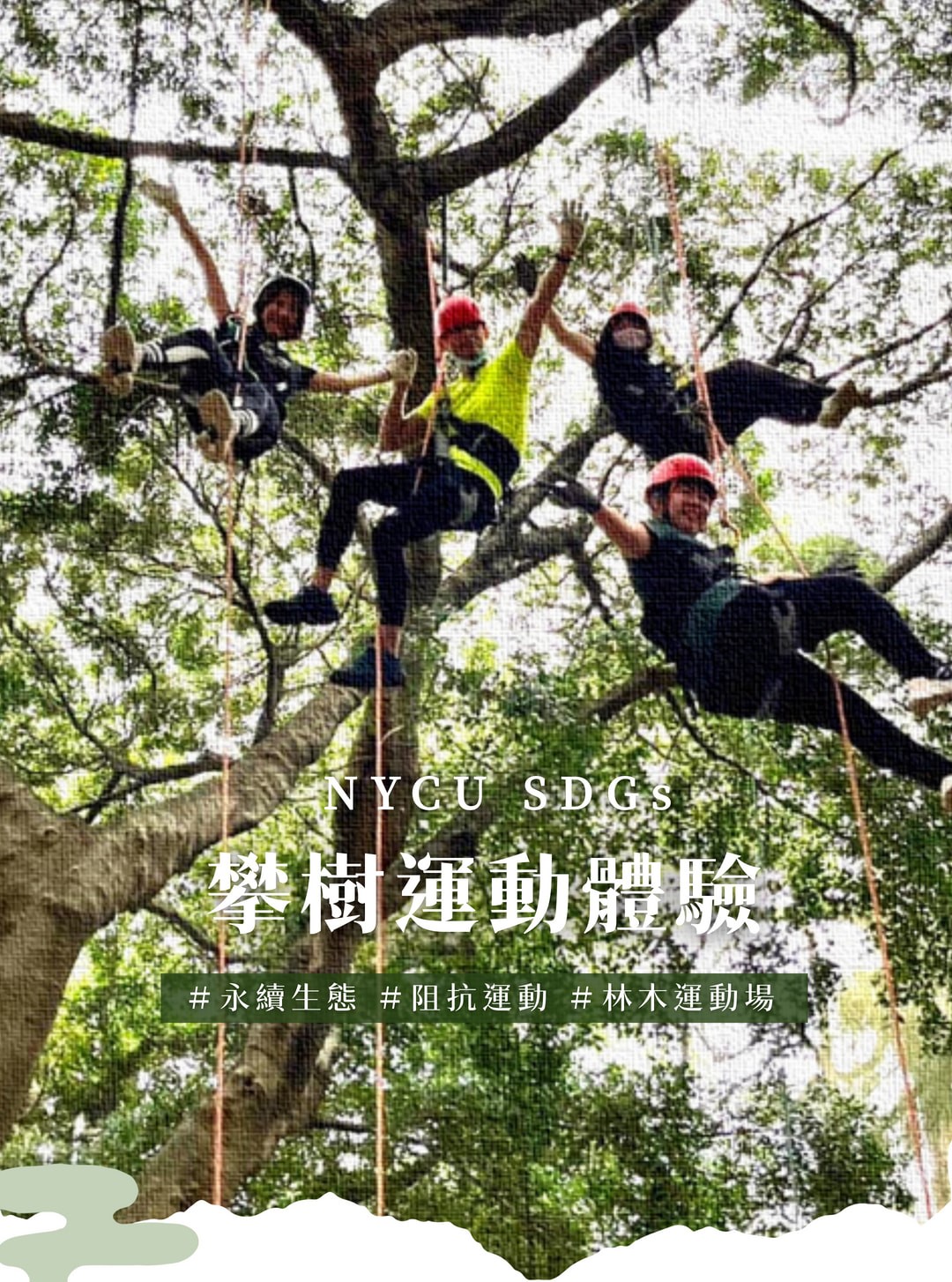 113 Tree Climbing